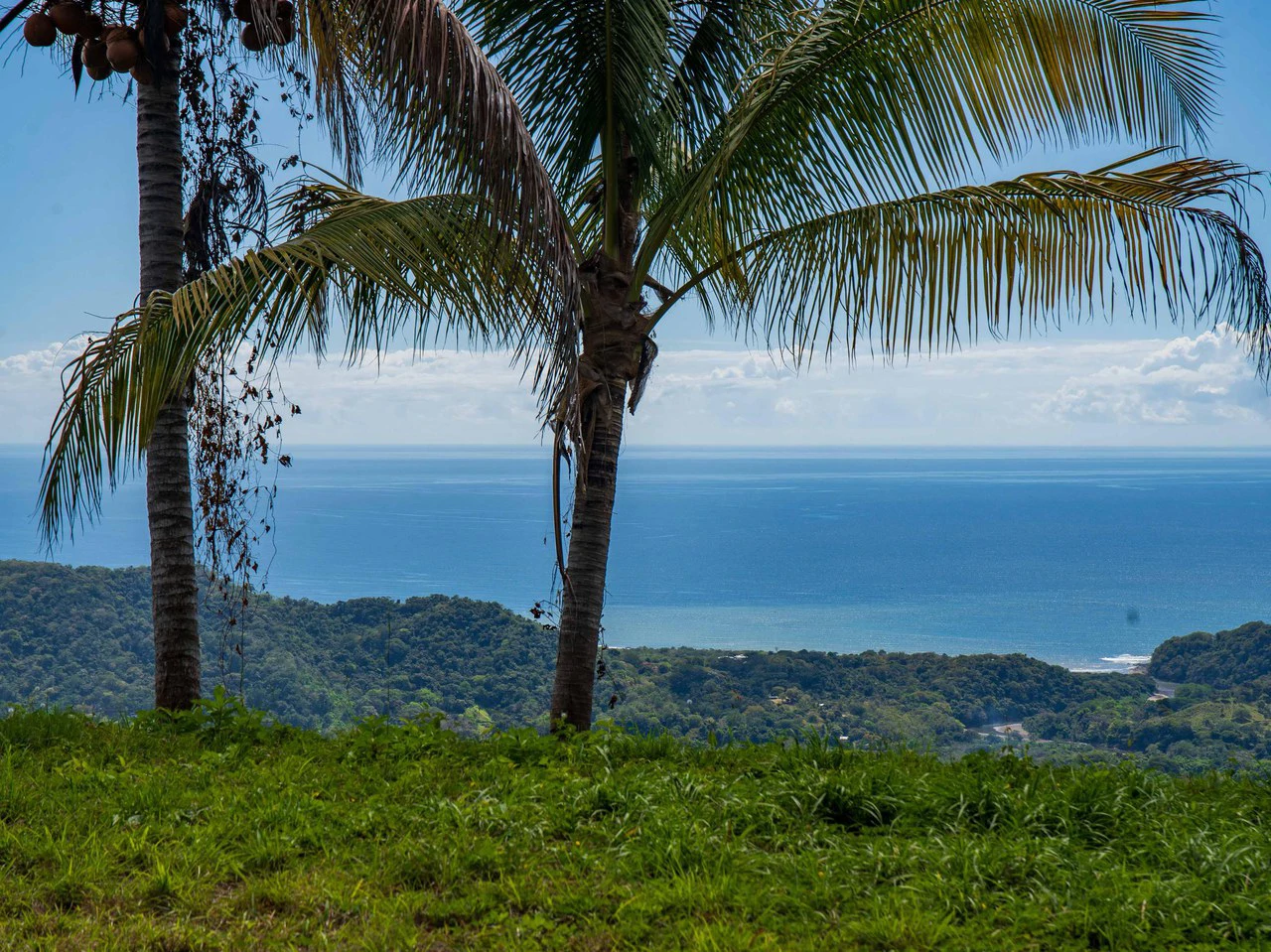 Lote Tres Palmas: Stunning Ocean View lot with 2 Platforms - Gallery image 13
