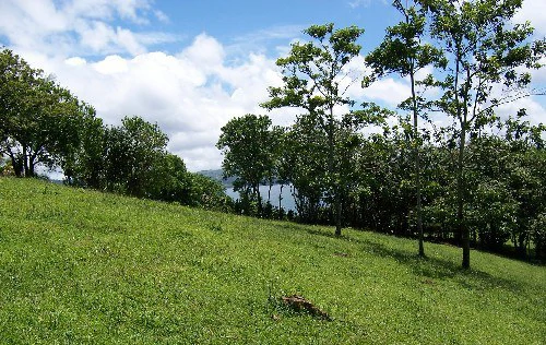 La Foresta: Beautiful Building Lot of 3+ acres in 2 plots, private and quiet setting, lake view, large trees, SELLER will pay closing costs ! - Gallery image 2