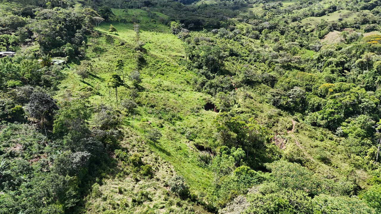 FINCA EN MIRAFLORES: Mountain Agricultural Land For Sale in El General - Gallery image 7
