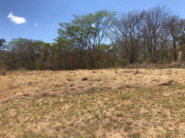 Huge terrain for sale in Guardia close to the International Airport of Liberia - Gallery image 27