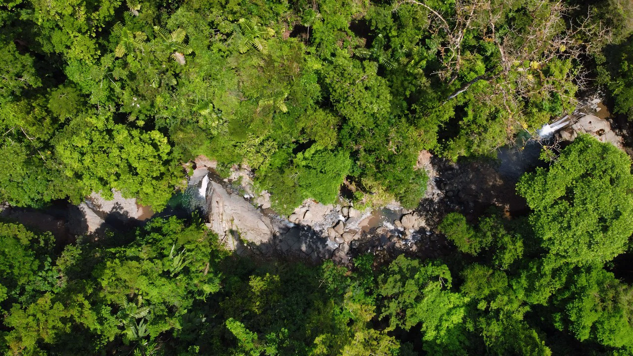 FINCA CERRO DEL TIGRE! OVER 20 ACRES OF PRIMARY FOREST AND WATERFALLS.: Mountain Agricultural Land For Sale in La Unión - Gallery image 13