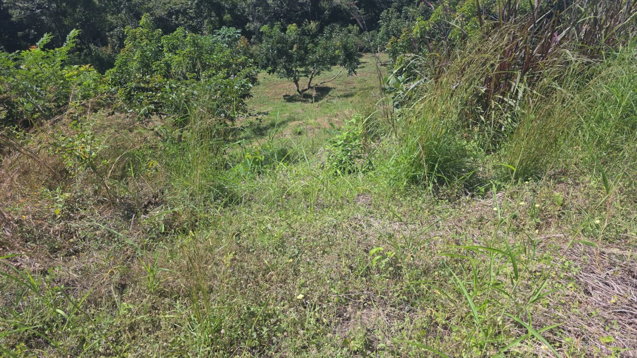 Mountain Property for Sale with charming 360º views of Guayabos Valley and the Volcanoes - Gallery image 46