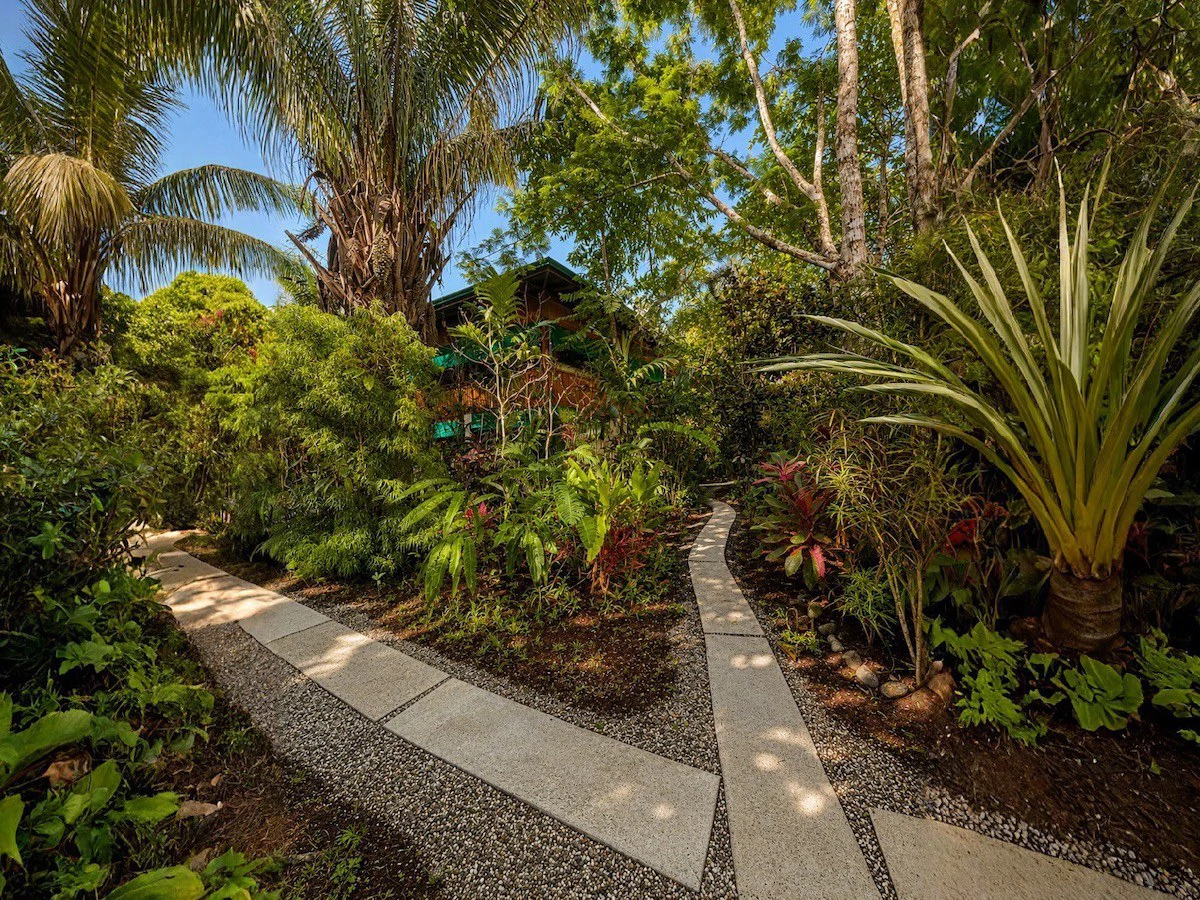 Tropical Beach Home – Sombrero, Osa Peninsula Costa Rica - Gallery image 6