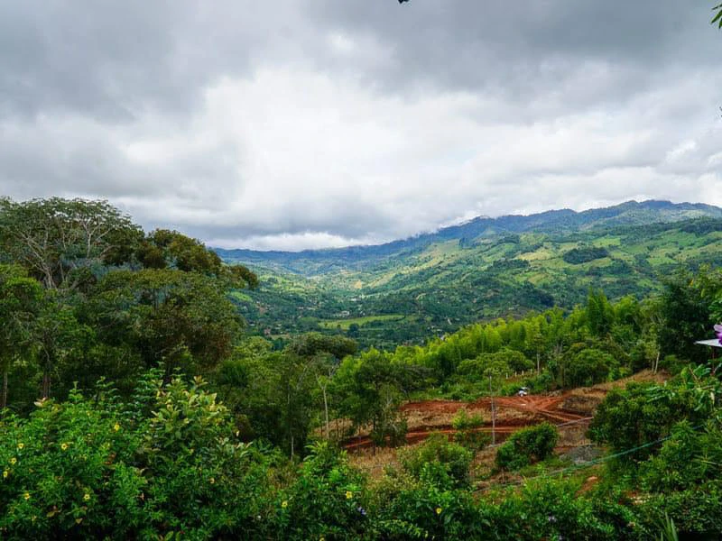 0.2 ACRES – 2 Bedroom House In San Isidro With 360 Degree Mountain Views!!! - Gallery image 18