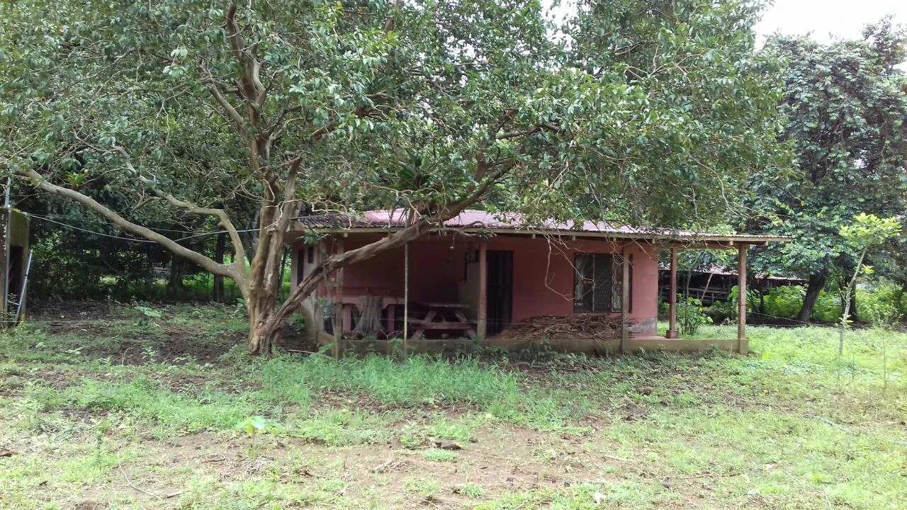 Big property with small house in Bijagua - Gallery image 11