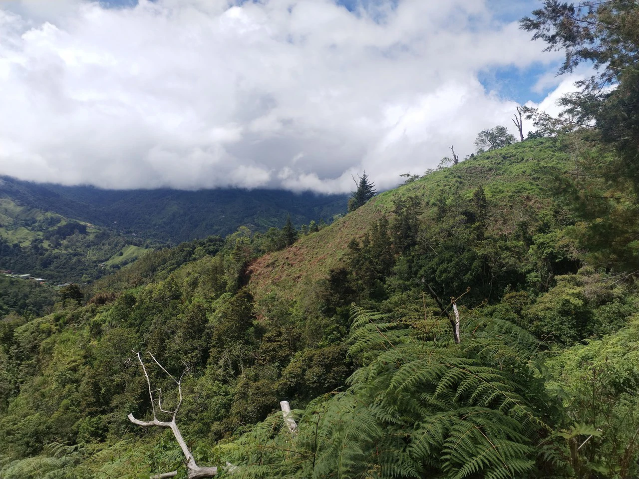 LOTE EN HERRADURA RIVAS.: Mountain Agricultural Land For Sale in San Isidro del General - Gallery image 16