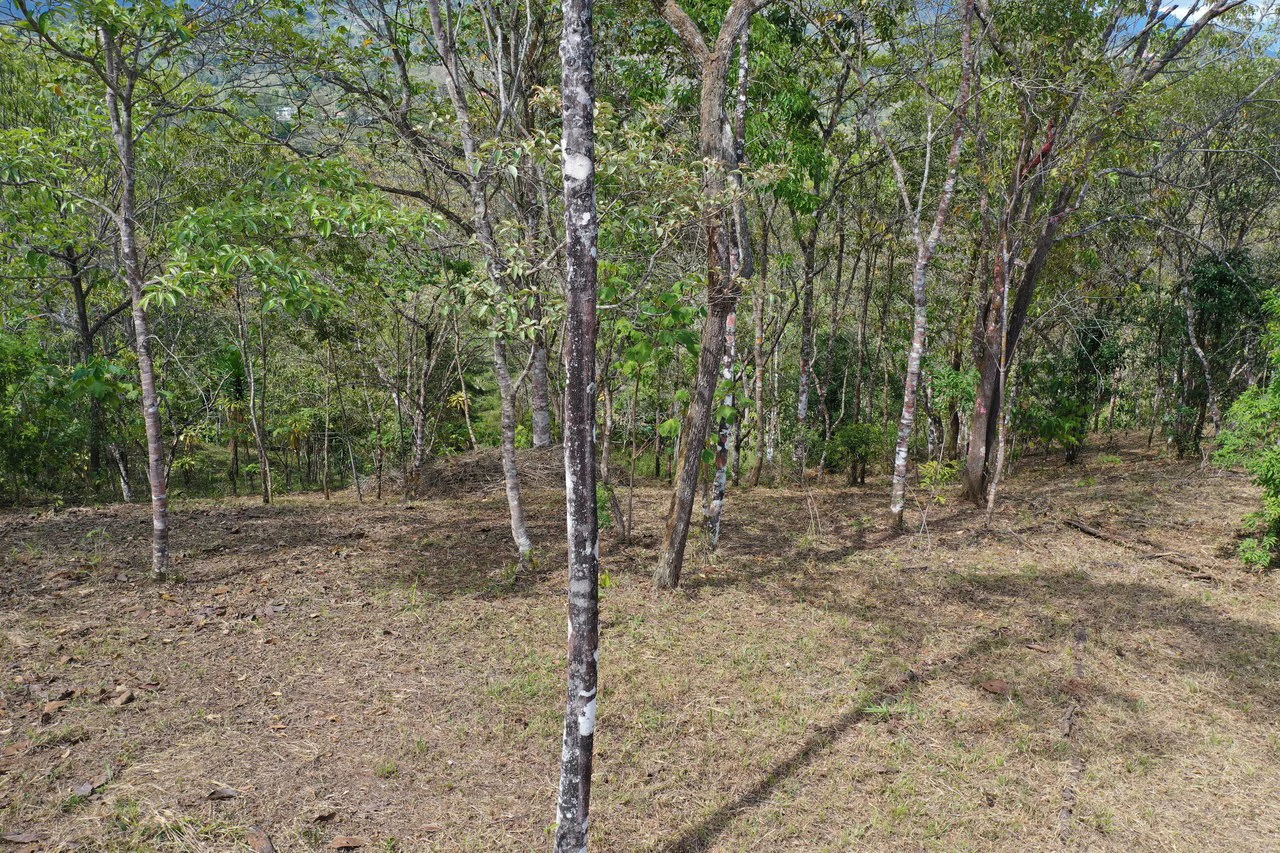 Elevated Two and a Half Acres with Cool Breeze in San Isidro del General - Gallery image 8