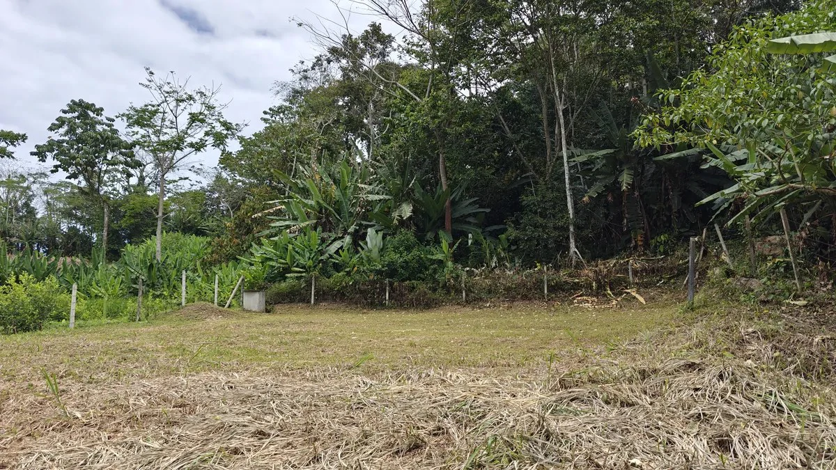 500sqm Lot in Cahuita with Well - Fenced, Filled, Leveled and Ready to Build - Gallery image 2