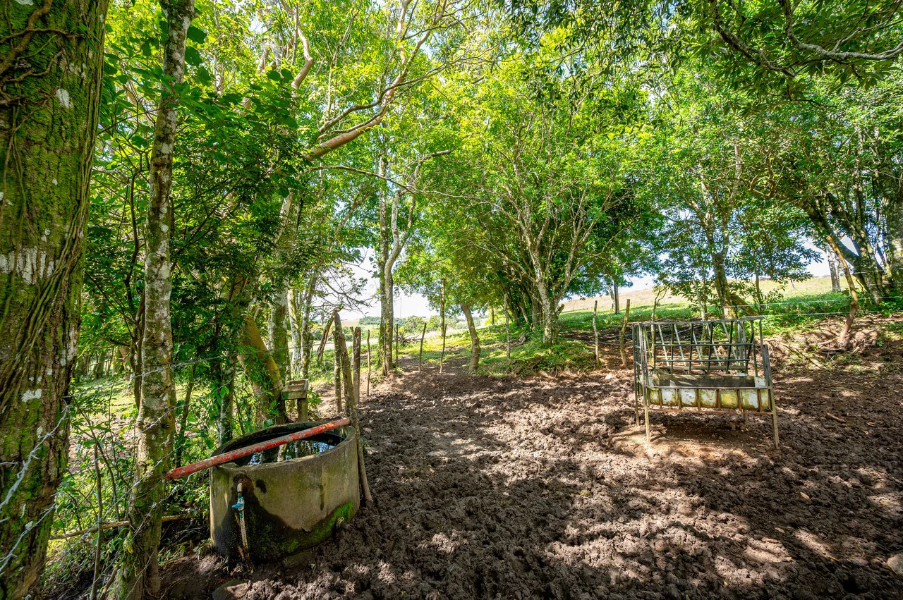 LA CABAÑA - COUNTRY ESTATE WITH HUGE POTENTIAL - Gallery image 40