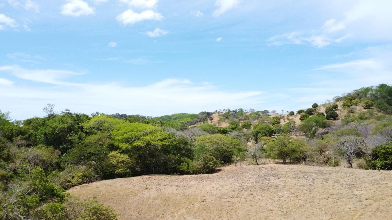 37-Hectare Ocean View Development Property Near Sámara, Buena Vista & Barrigona - photo 13