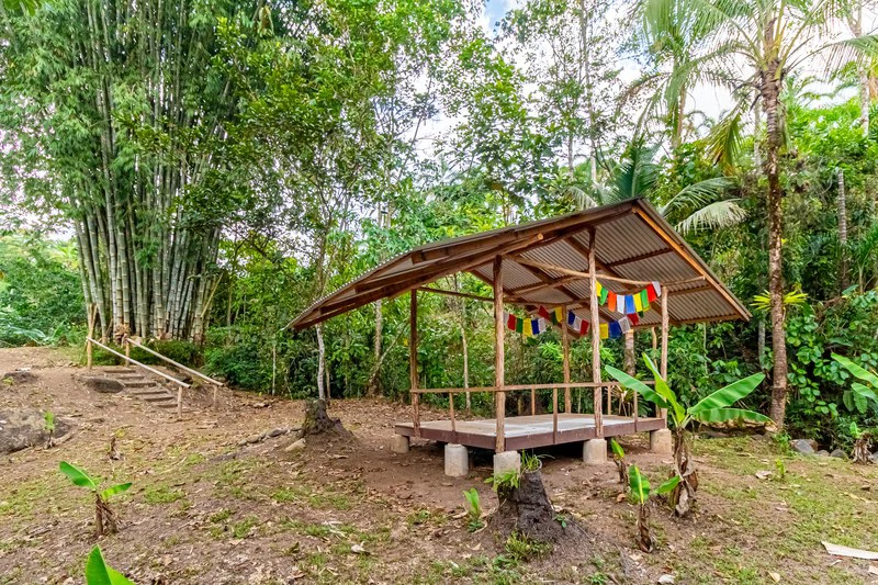 Casa San Pedrito: Beautiful house for sale in San Pedrito,(1,3hect) Perez Zeledon - Gallery image 13