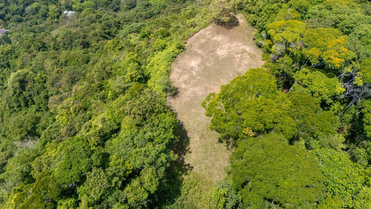 136 Acres of Oceanview Land with Multiple Building Sites | A Rare Development Opportunity in Costa Rica - Gallery image 7