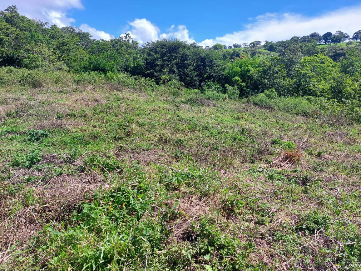FINCA LA TEJONA - Gallery image 9
