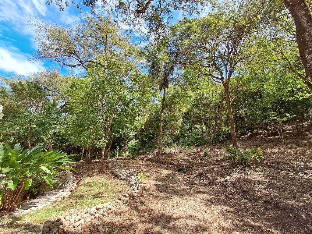 Casa Blue Azul: Unique Property with Three Independent Units in the Heart of Nature – 5 km from Sámara - Gallery image 23