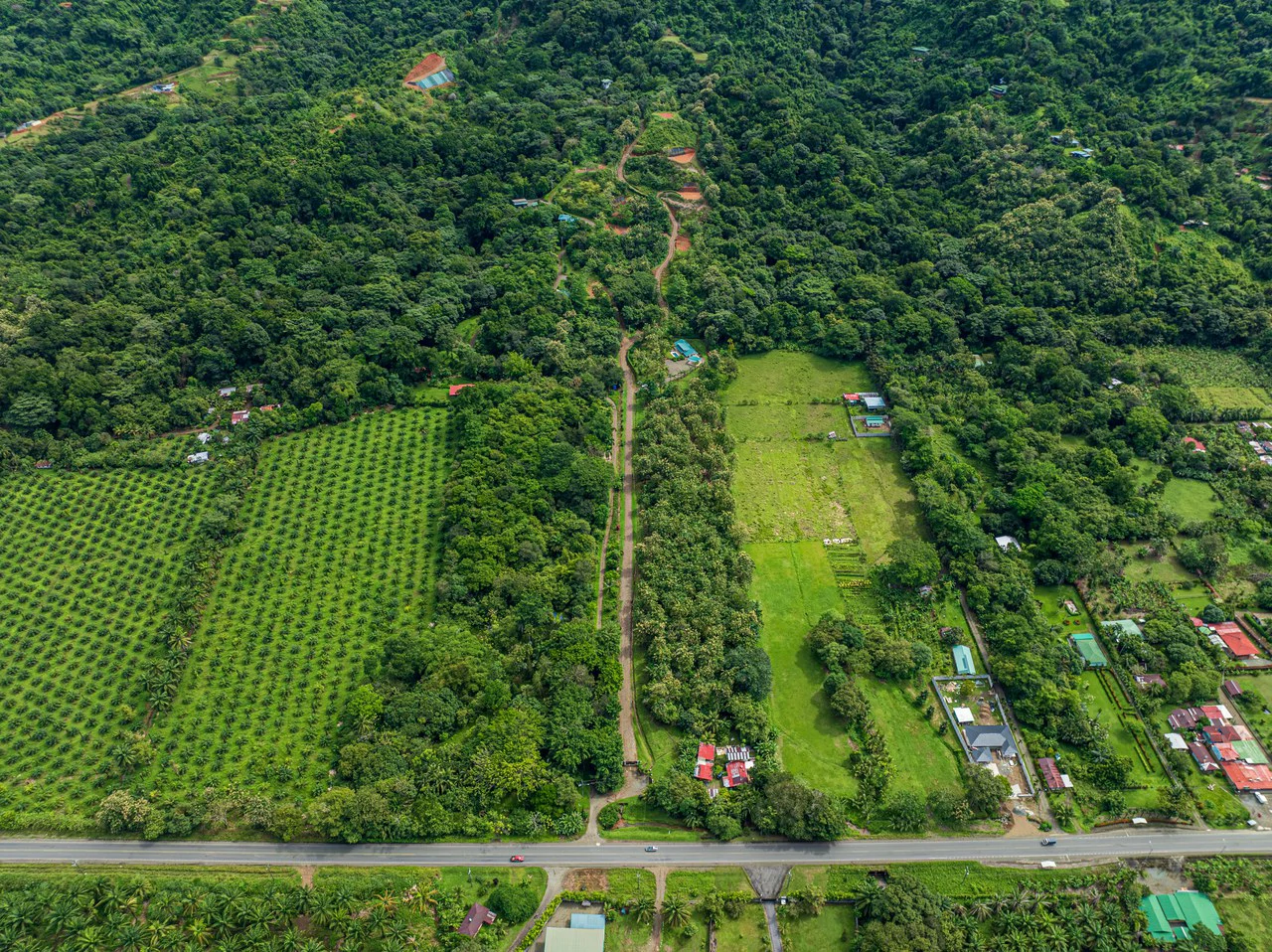 New Gated Development in Matapalo - Ocean View and Flat Land, ready to build! - Gallery image 25