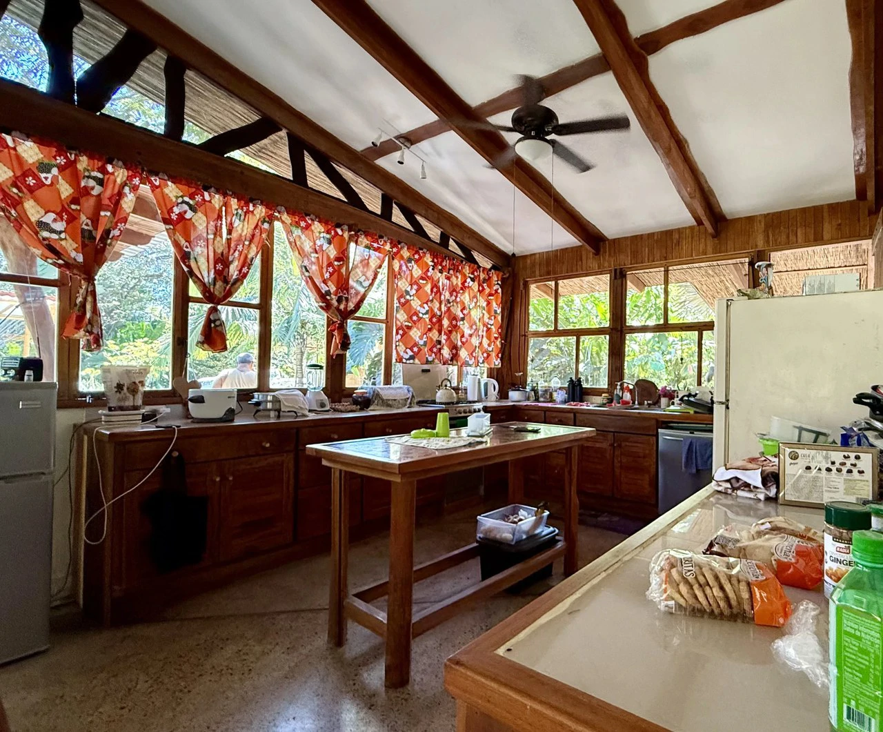 CASA CITALA: $450,000 USD Jungle Estate, Very Private, in Villas del Mar, Playa Tambor - Gallery image 10