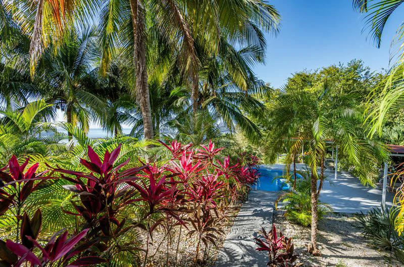 FINCA GABRIELA: Exceptional Opportunity- 9 Hectares (22.5 Acres) of Development Potential with Ocean View Home – Just 3 Minutes from Samara - Gallery image 9