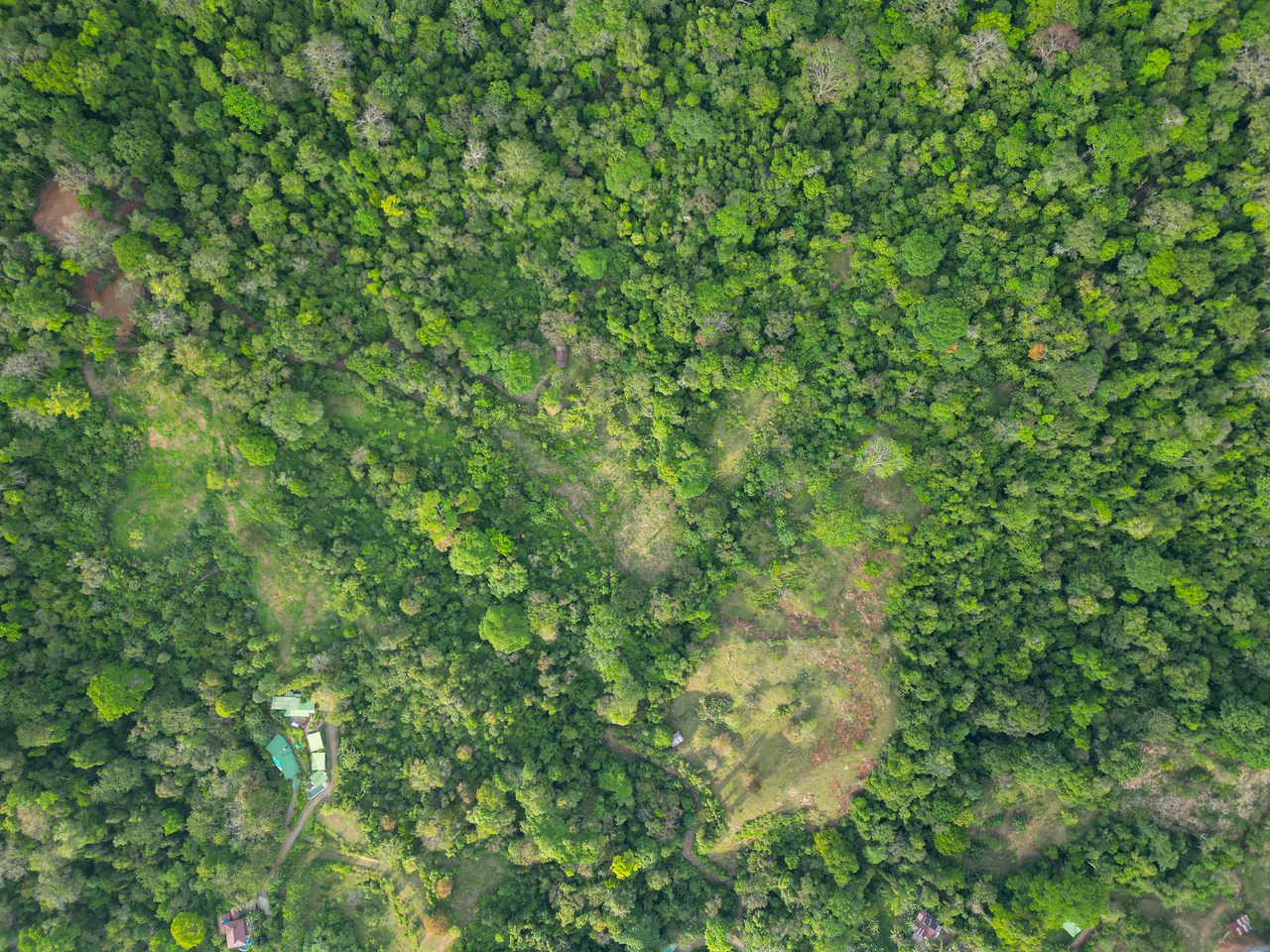 Build Your Vision in Uvita – 15.9 Ocean View Acres with Easy Access + Utilities Ready! - Gallery image 6