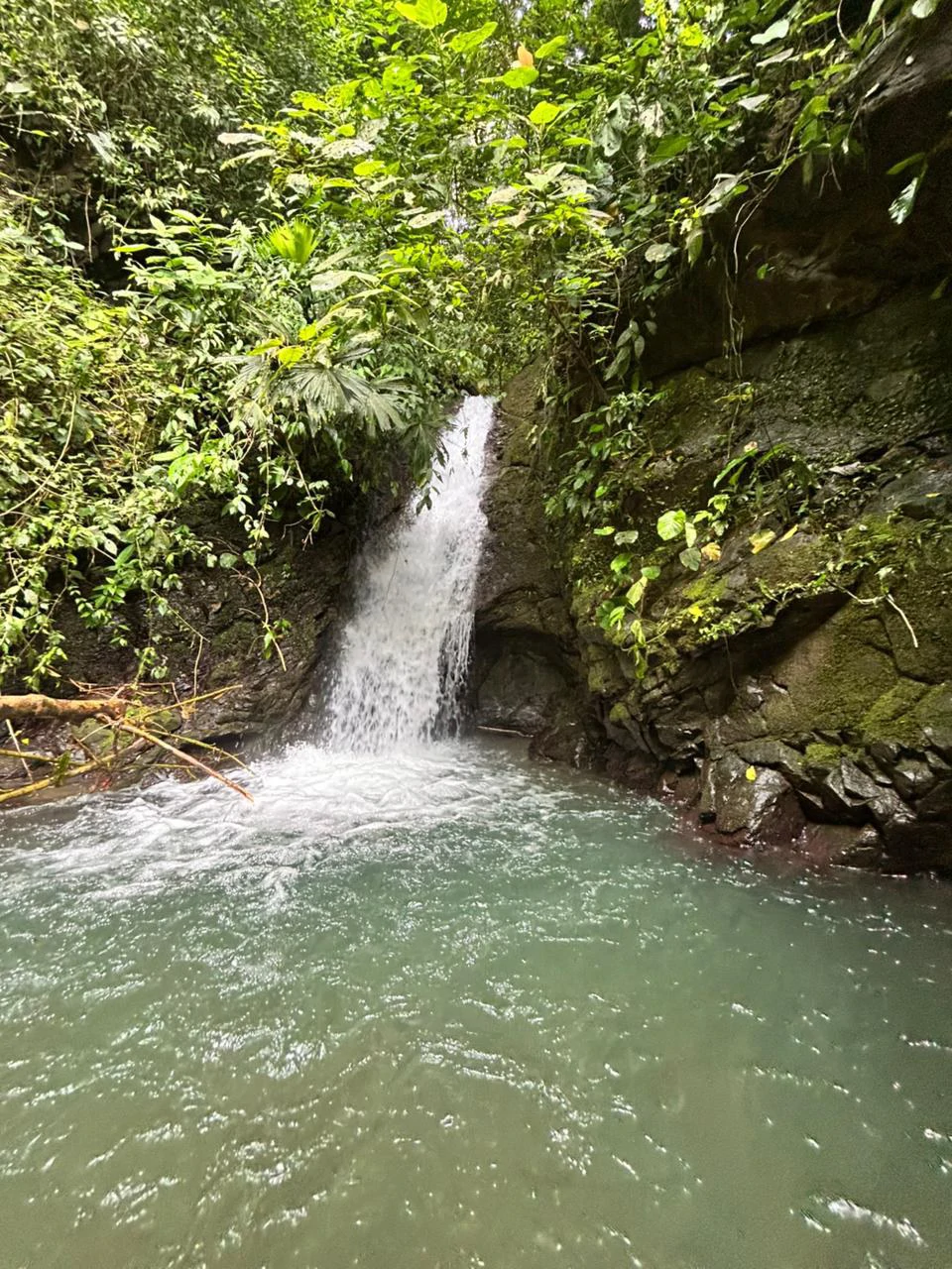 Finca Las Cataratas in Ballena: Mountain Home Construction Site For Sale in Bahía Ballena - Gallery image 19