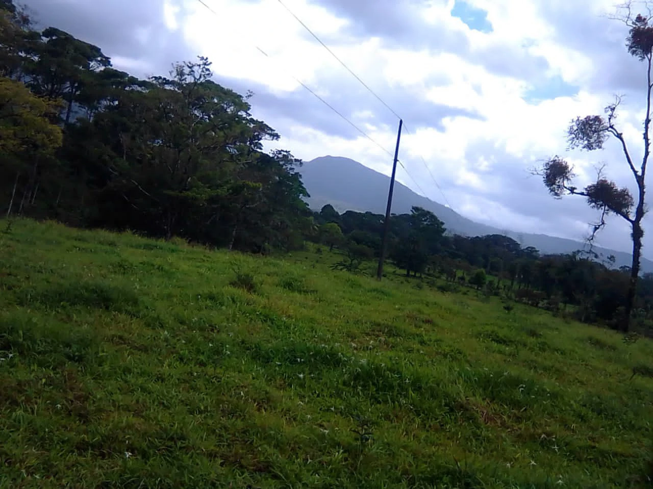 Cattle farm for sale in Aguas Claras with 1 corral and enchanting views - Gallery image 6