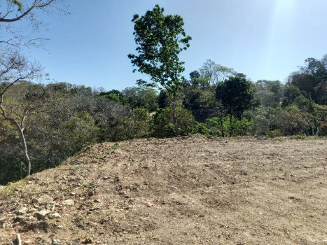 Building Lots for sale in a pristine and peacefull woodland 3 km from Samara Beach - Gallery image 3