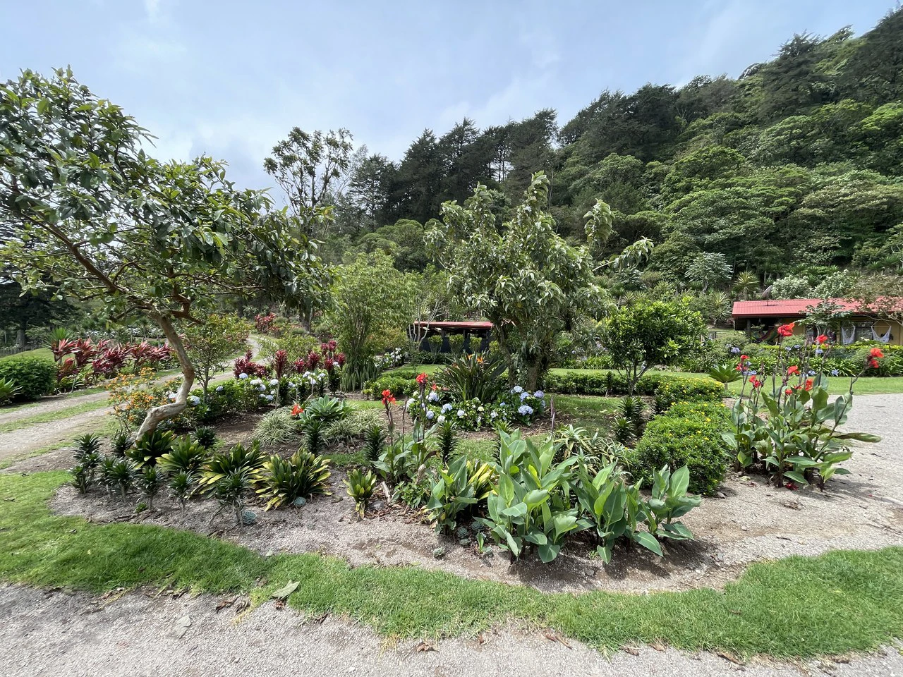 Cartago, gourmet coffee plantation: Charming Coffee Retreat Home with Stunning Views and Gourmet Coffee Plantations - Gallery image 21