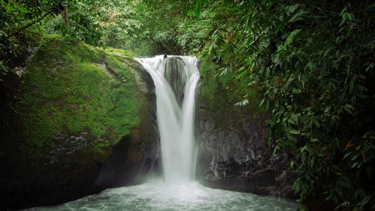 UNPARALLELED OCEAN VIEW LAND IN OJOCHAL, COSTA RICA - Gallery image 16