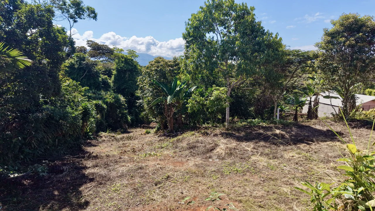 Home Construction Site For Sale in Pavones - Gallery image 23