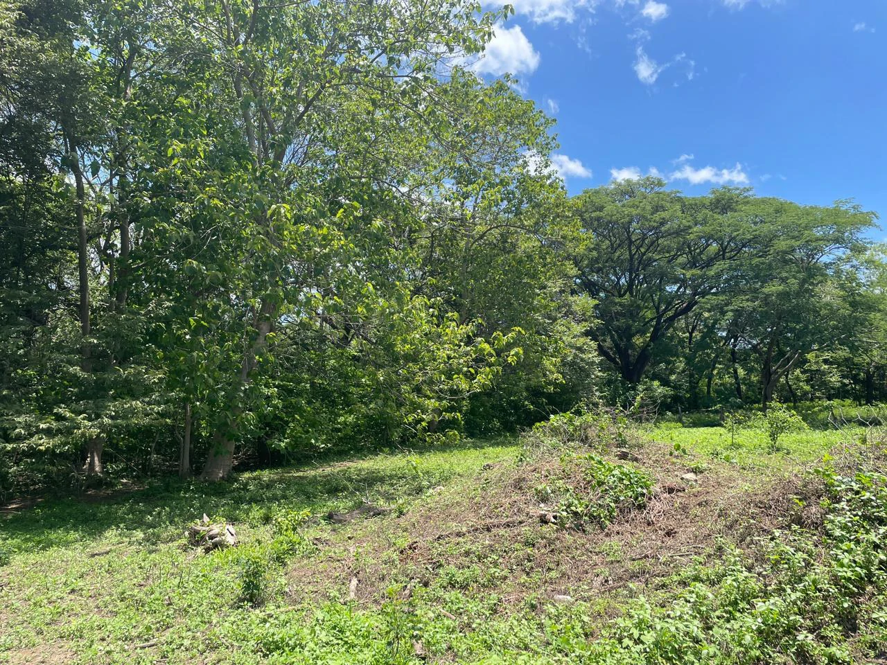 Building lots for sale, 6 available properties 10 minutes away from Liberia - Gallery image 7