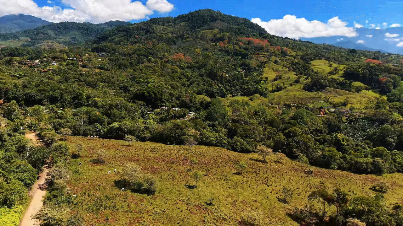 Agricultural Land For Sale in MORAZAN - Gallery image 23
