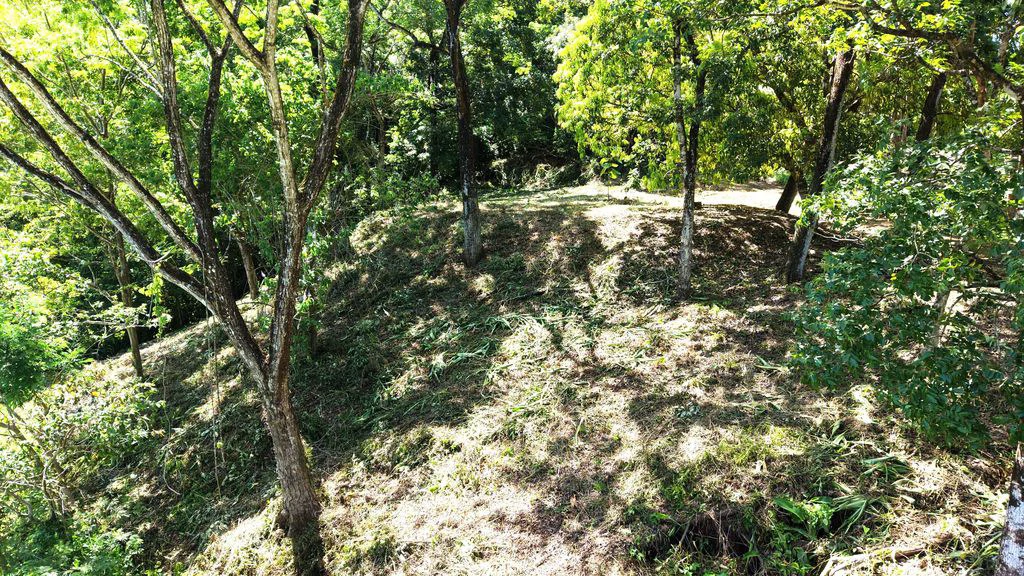 Lote Budry: Exclusive Elevated Lot with Stunning Mountain & Jungle Views Near Samara Beach - Gallery image 10