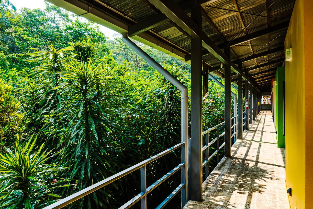 Celeste Mountain Lodge: Mountain Hotel/Resort/Hostel For Sale in Bijagua - Gallery image 14