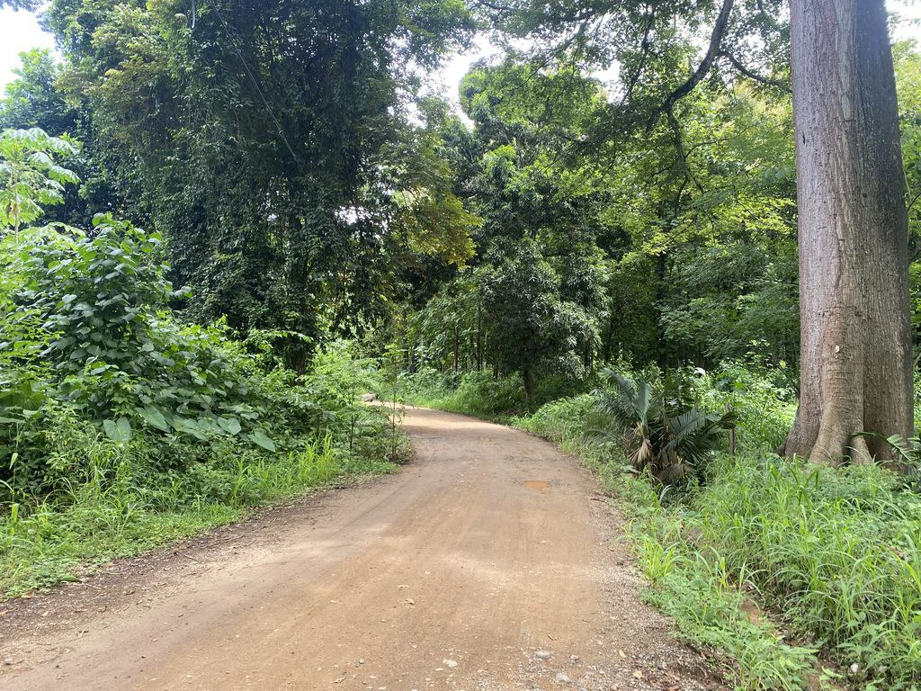 Finca Rio El Carmen: 3 HA Finca with Elevation Across from Renowned Rio Ora, 1 HA parcels available, Three 1700 m2 lots - All available in Rustic El Carmen - Gallery image 15