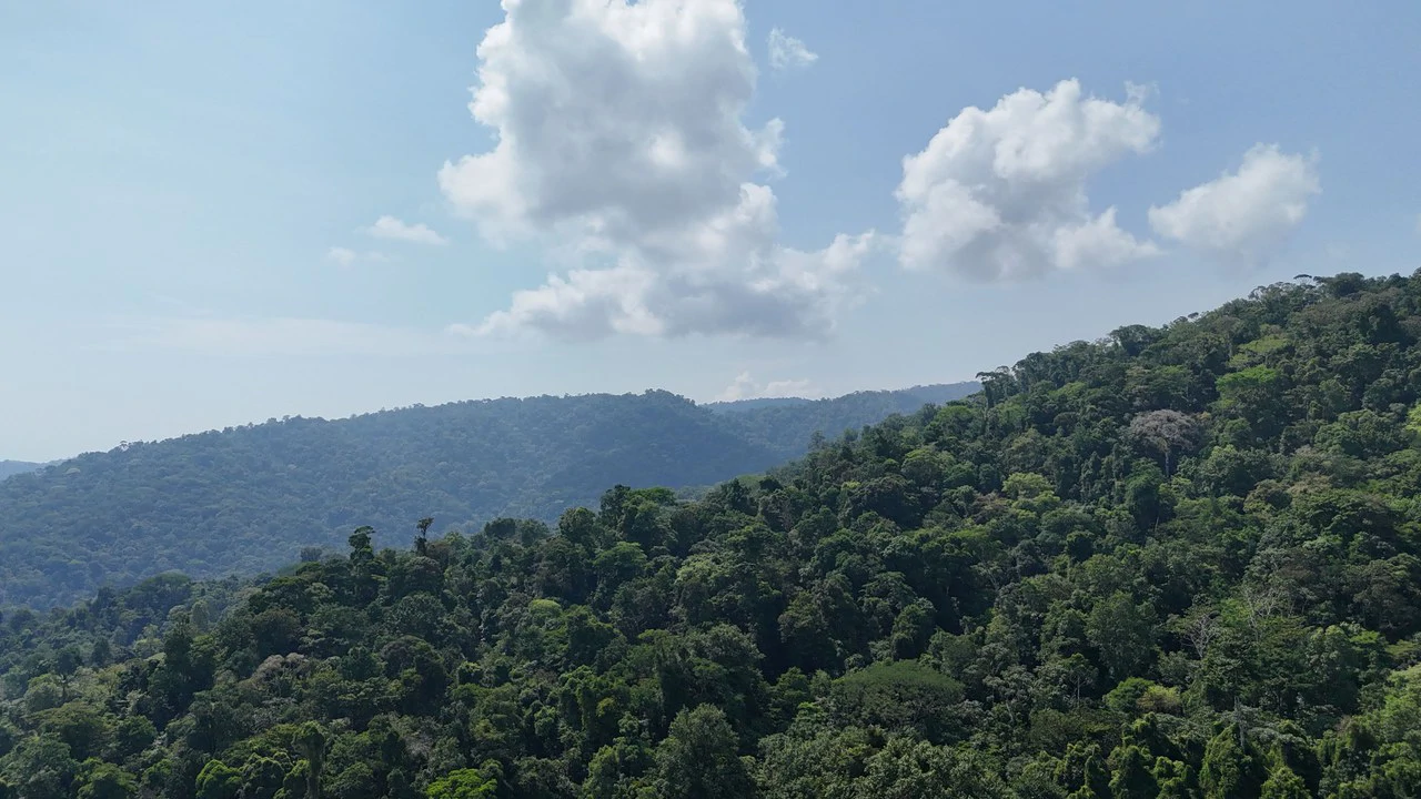 CONSERVATION AND DEVELOPMENT LAND WITH OCEAN VIEW IN SIERPE, COSTA RICA - Gallery image 35