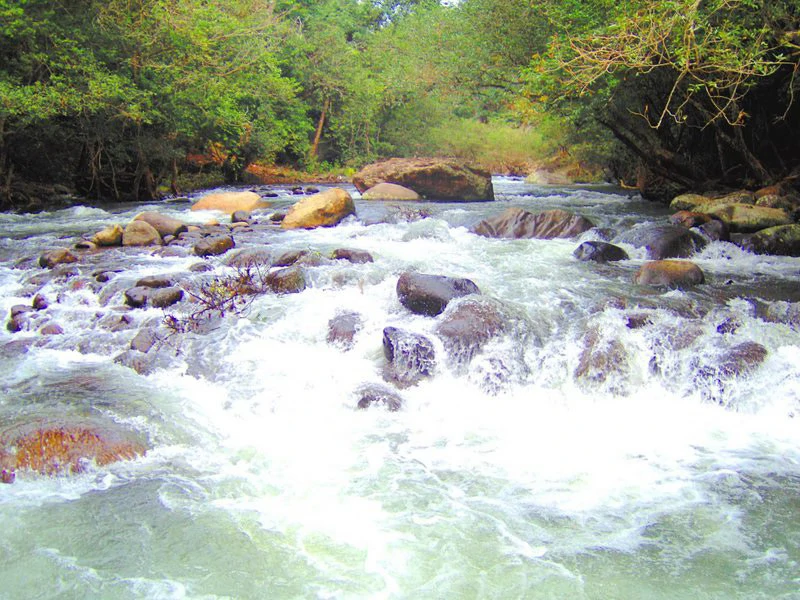 Colorado River Paradise Farm for Sale - Just 10 Minutes from Liberia - Gallery image 15