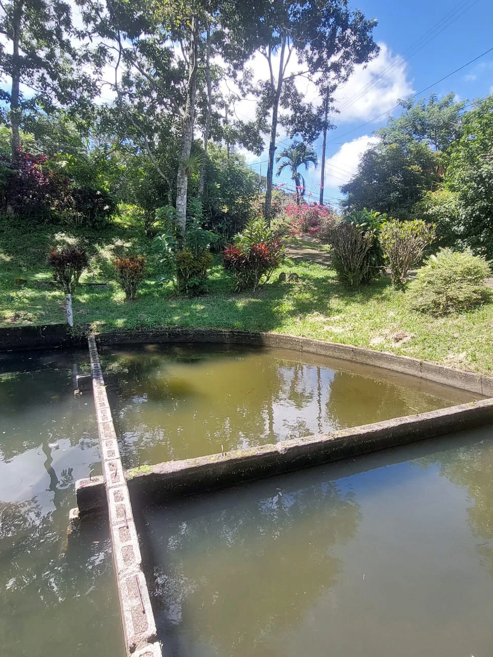 FINCA LA TEJONA - Gallery image 17