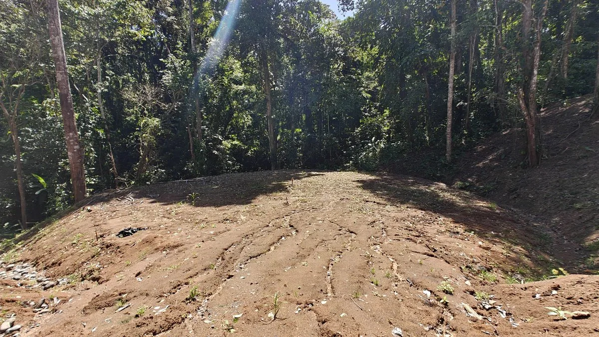 ID  1011: 7535m² Cahuita Land Near the Beach with Building Platform - Gallery image 9