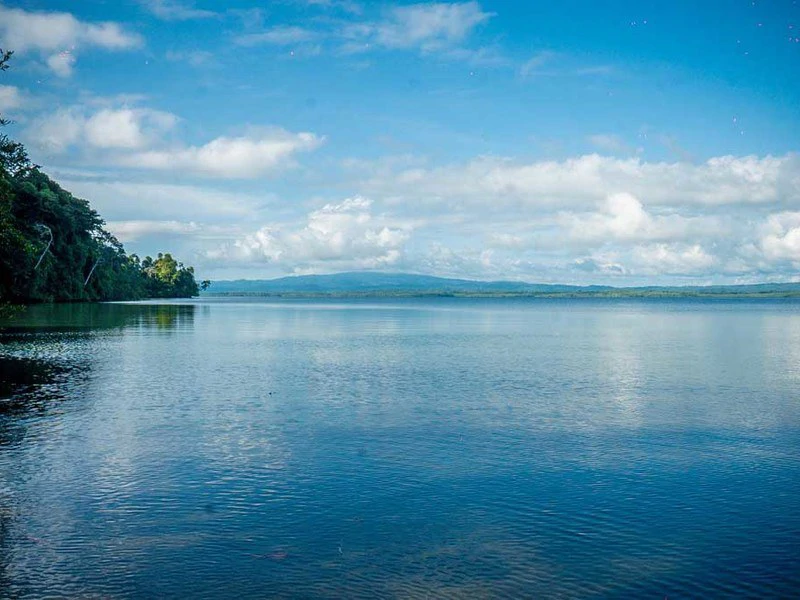 Bahía Chal Gulf View Close to Puerto Jimenez - Gallery image 17