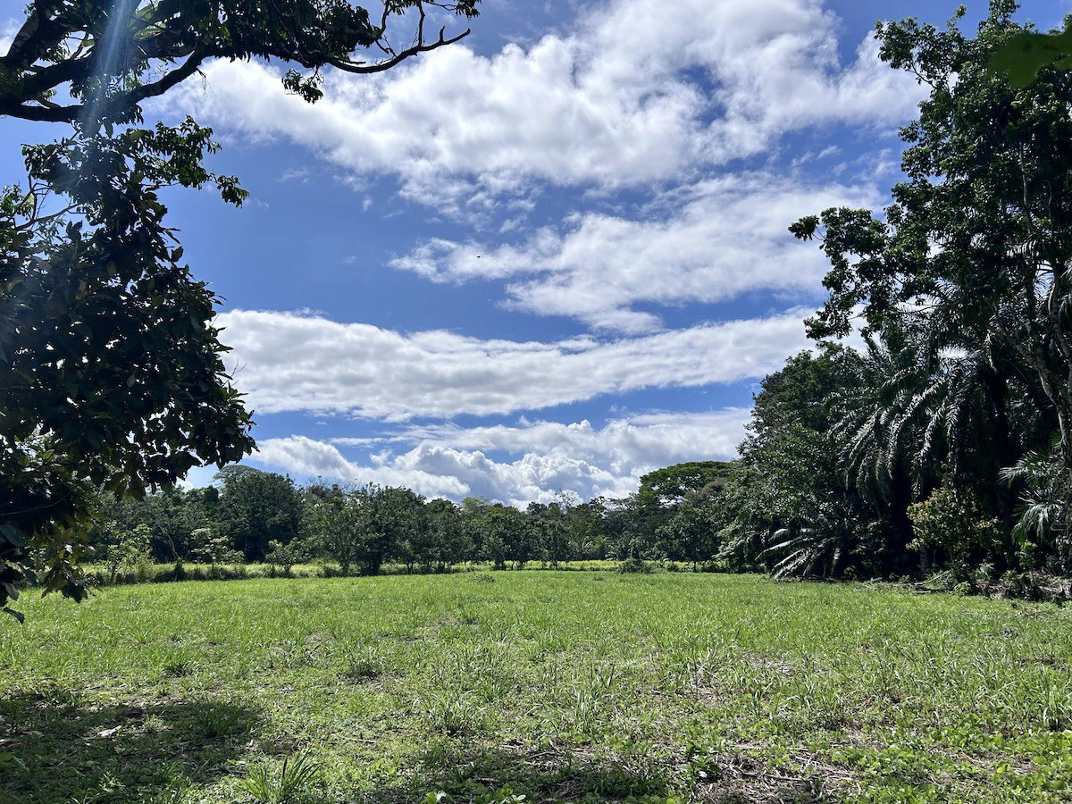 Titled Property Near The Golfo Dulce Coast - Gallery image 8