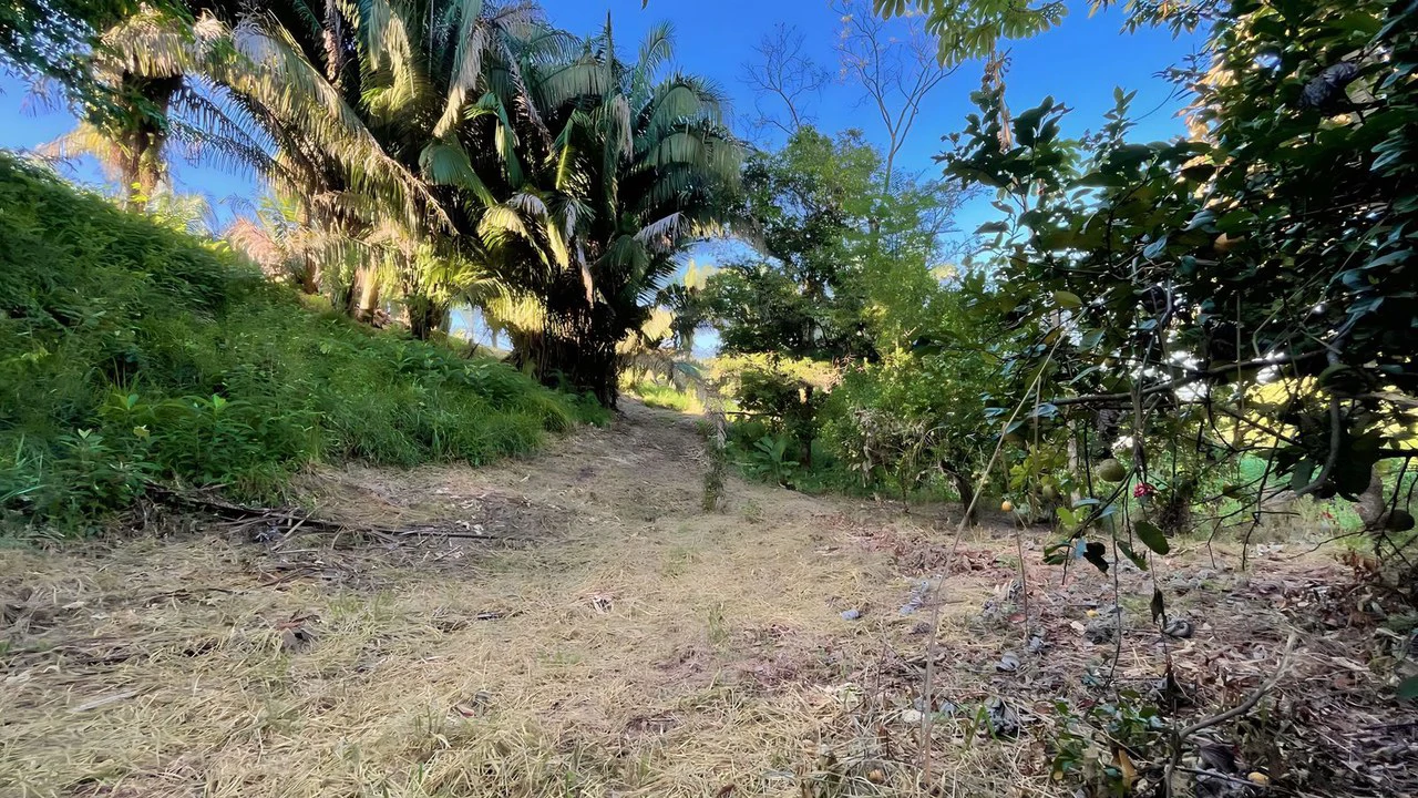 Exclusive Hermosa 1.2 Acre Lot with Panoramic Mountains and Ocean View. - Gallery image 10