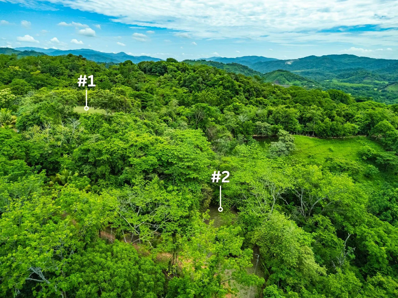 The Refuge: Ecological Lots in Hojancha Blue Zone - photo 5