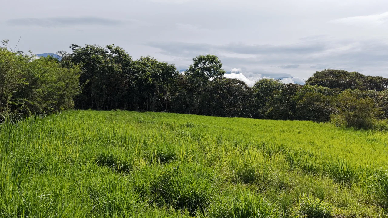 Home Construction Site For Sale in El Pilar - photo 10