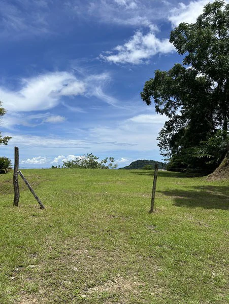 Panoramic 180 Degree Ocean View Lot Ready To Build Close To Ojochal - Gallery image 13