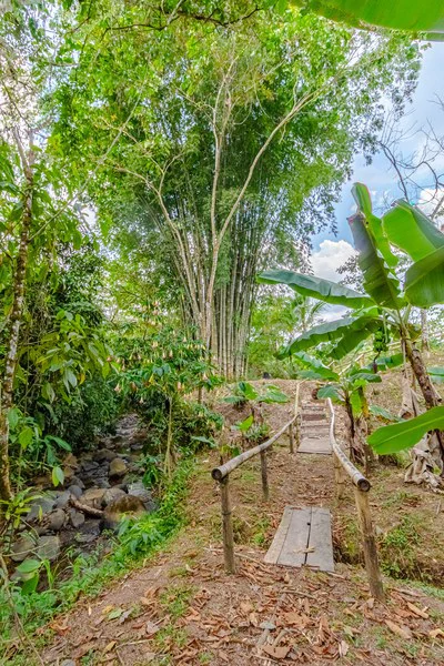Casa San Pedrito: Beautiful house for sale in San Pedrito,(1,3hect) Perez Zeledon - Gallery image 10