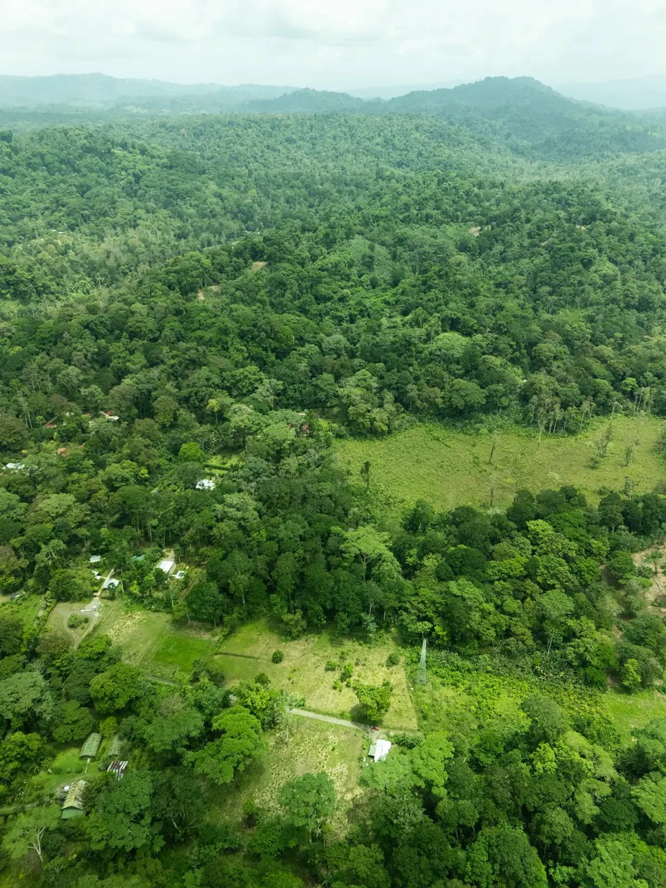 ID 1134: 3960m² Flat Development Lot Near Cahuita, Costa Rica - photo 12