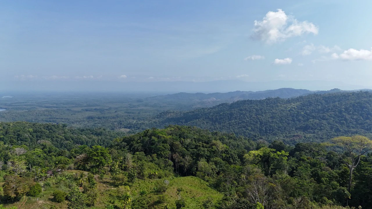 CONSERVATION AND DEVELOPMENT LAND WITH OCEAN VIEW IN SIERPE, COSTA RICA - Gallery image 28