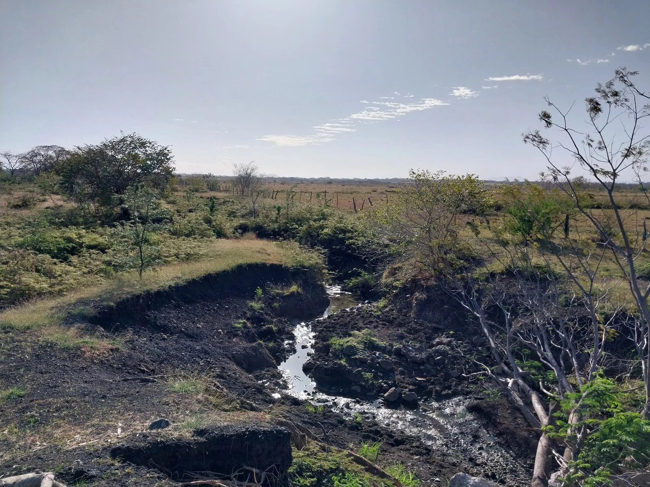 Bonita Finca de 187 Acres / 75 Ha. con Pozos y Ojo de Agua en Filadelfia - Costa Rica: Countryside, Lakefront and Riverfront Agricultural Land For Sale in Fildelfia - Gallery image 9