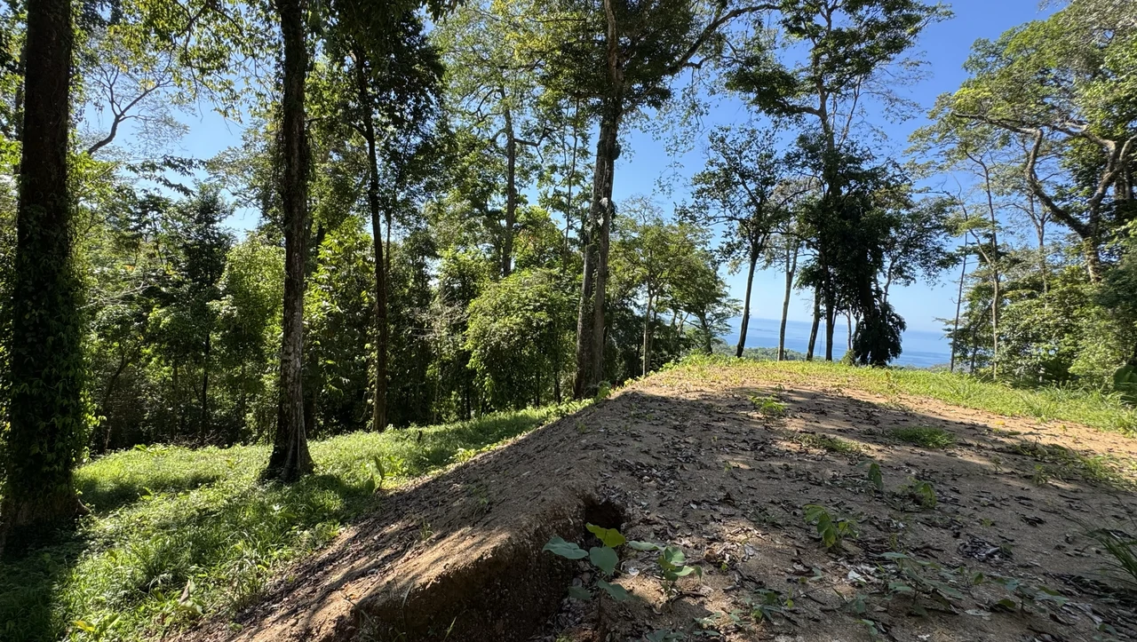 Two Ocean View Lots in Uvita – Easy Access and Large Building Sites - Gallery image 10