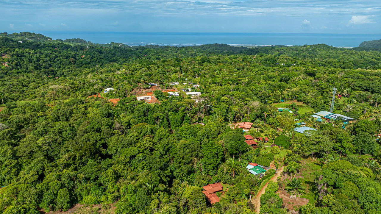 A Jungle House Built of Wood & River Dreams - Gallery image 5
