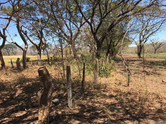Huge terrain for sale in Guardia close to the International Airport of Liberia - Gallery image 12